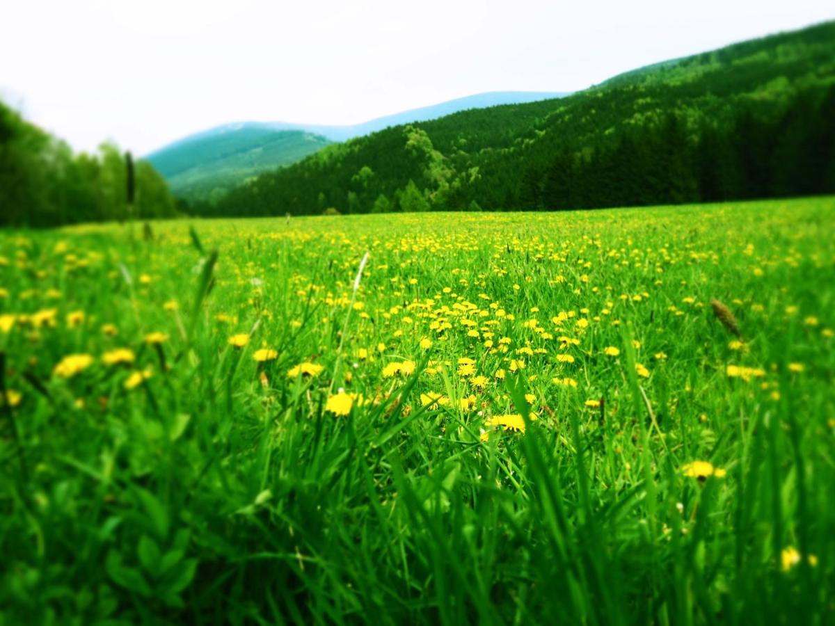 Srub U Lanovky Hostel Ramzova Luaran gambar